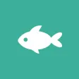 Fishing Activity