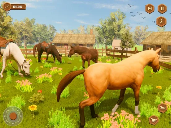 صور My Wild Horse Riding Stories iPad 