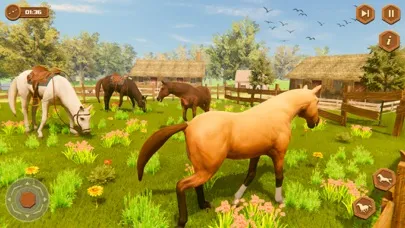 صور My Wild Horse Riding Stories