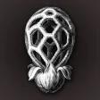 iFunch - Mushrooms and AI iFunch - Mushrooms and AI