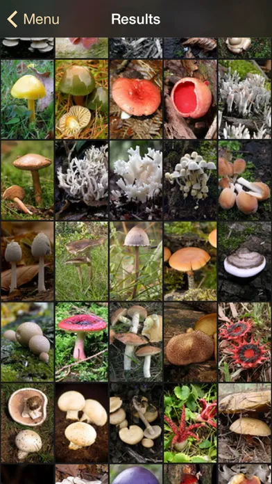 iFungi AU - Mushrooms ID Screenshots