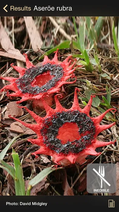 iFungi AU - Mushrooms ID Screenshots