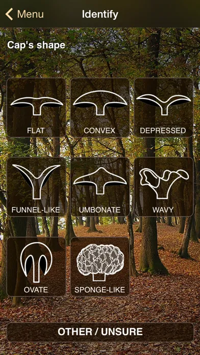 iFunch Lite - Mushrooms應用截圖