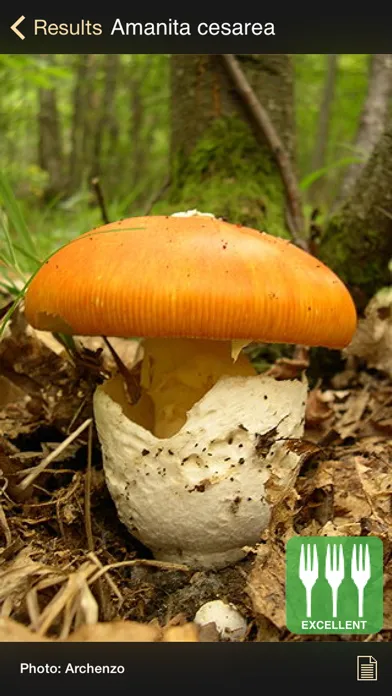 iFunch Lite - Mushrooms應用截圖