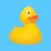 QUACK: Lost Ducks