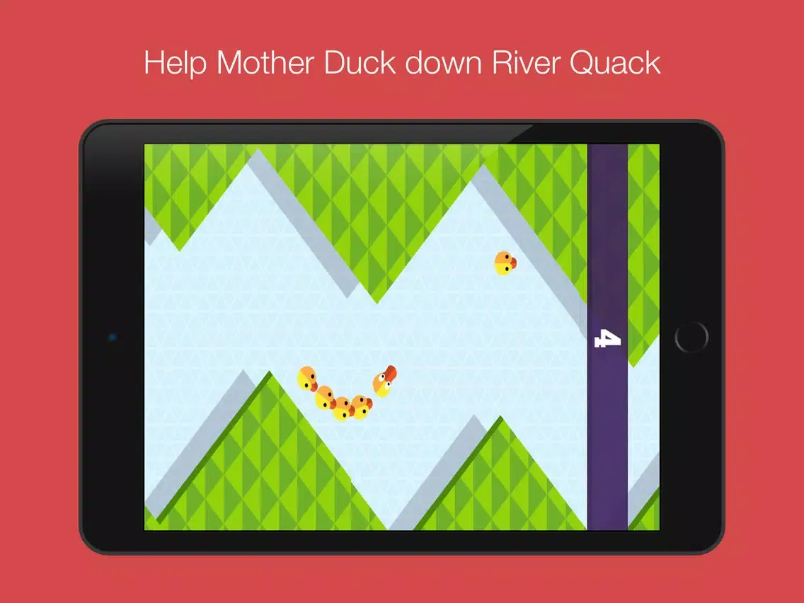QUACK: Lost Ducks iPad  스크린샷