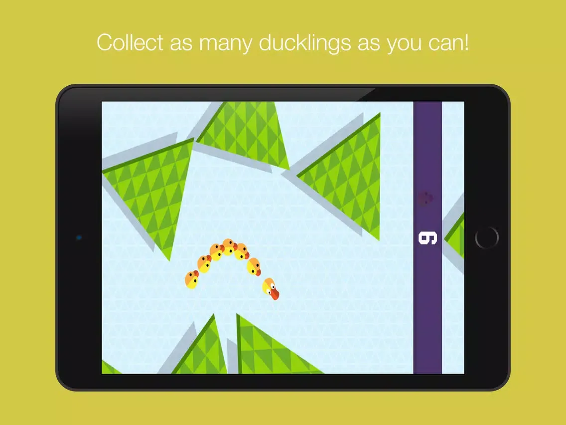 QUACK: Lost Ducks iPad  스크린샷