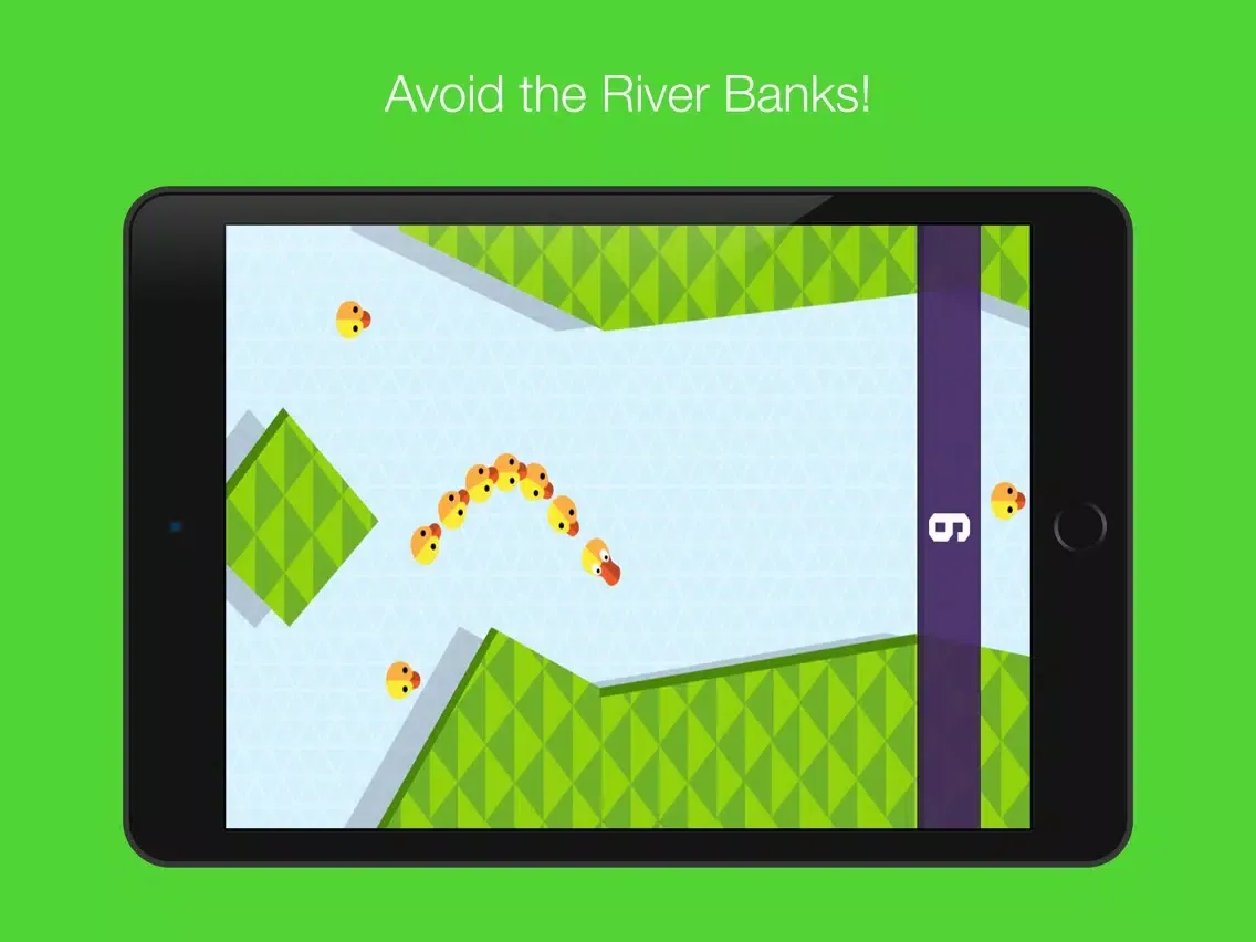 QUACK: Lost Ducks iPad  스크린샷