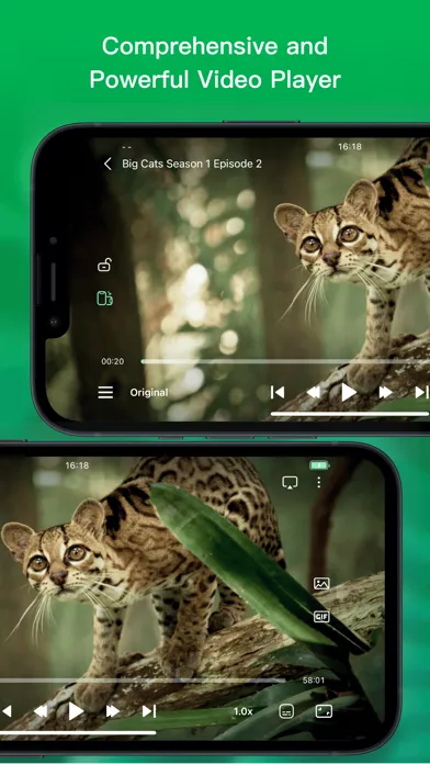 Capturas de tela do VidHub -Video Library & Player