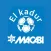 Liga Interna Macabi