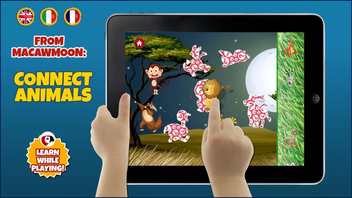 Capturas de tela do Discovery the animals - counting with interactive fauna zoo ocean wild - Macaw Moon