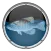 Reef Aquarium HD