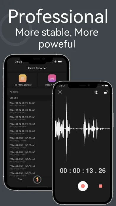 Capturas de pantalla de Recorder Pro - Voice Memo