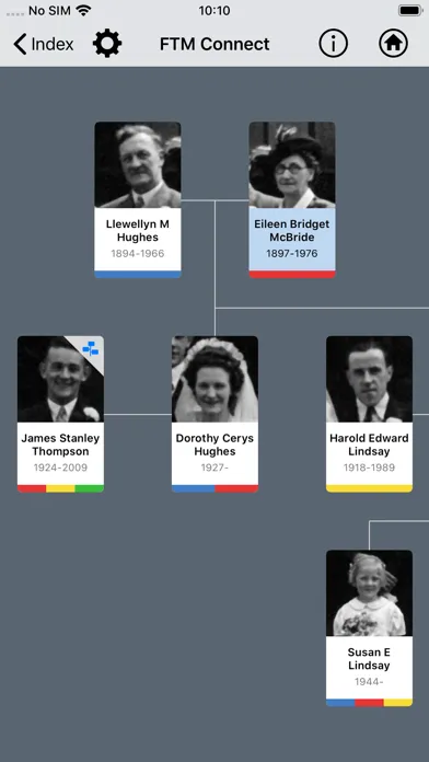 Family Tree Maker Connect應用截圖
