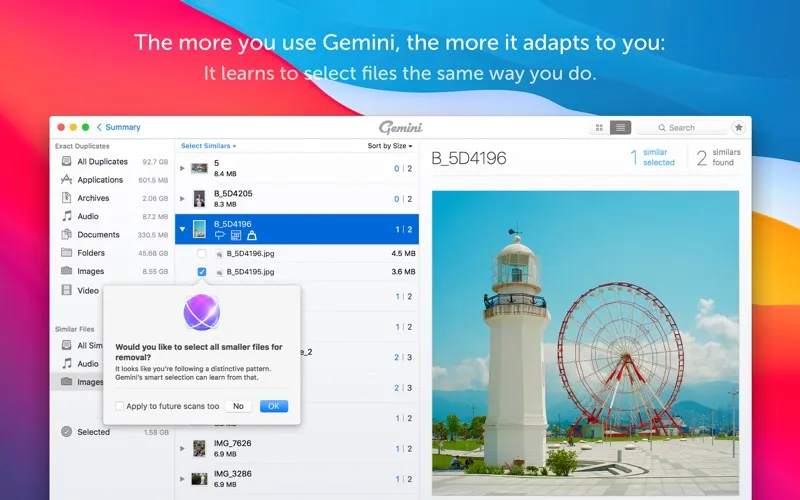 Gemini 2: The Duplicate Finder স্ক্রিনশট