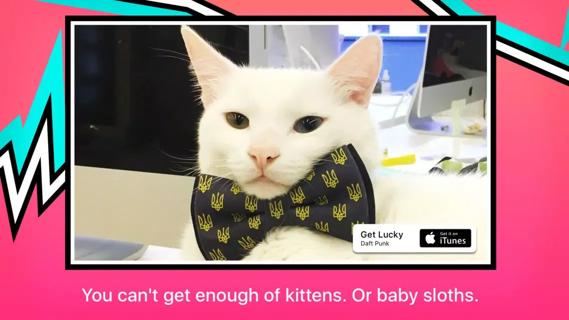 Tangkapan skrin GIFtv: Endless GIF Reel