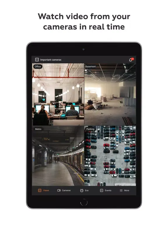 Macroscop video surveillance iPad  Ekran Görüntüleri