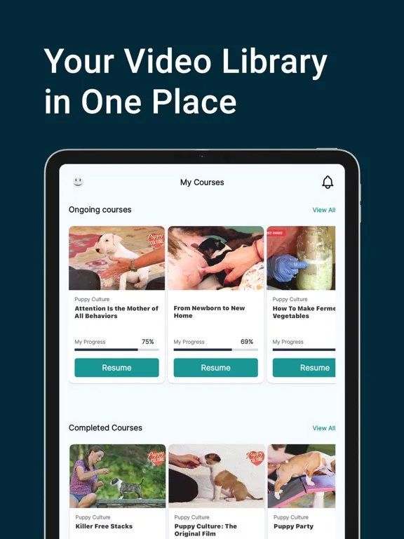 Скриншоты Madcap University iPad 