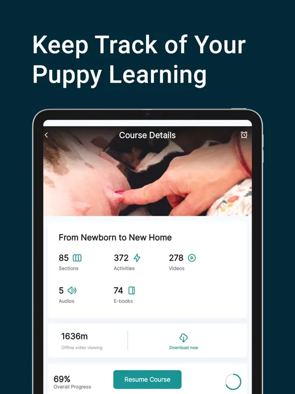 Скриншоты Madcap University iPad 