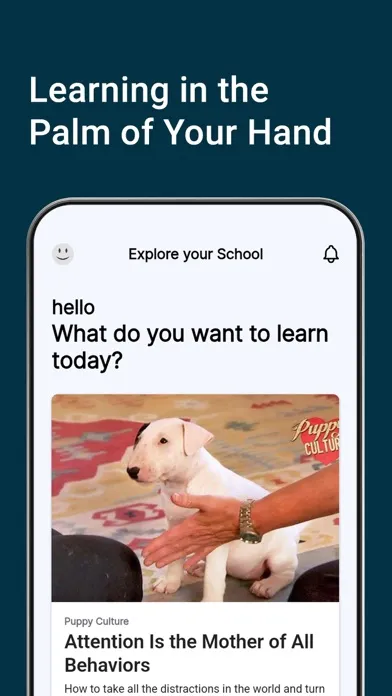 Скриншоты Madcap University