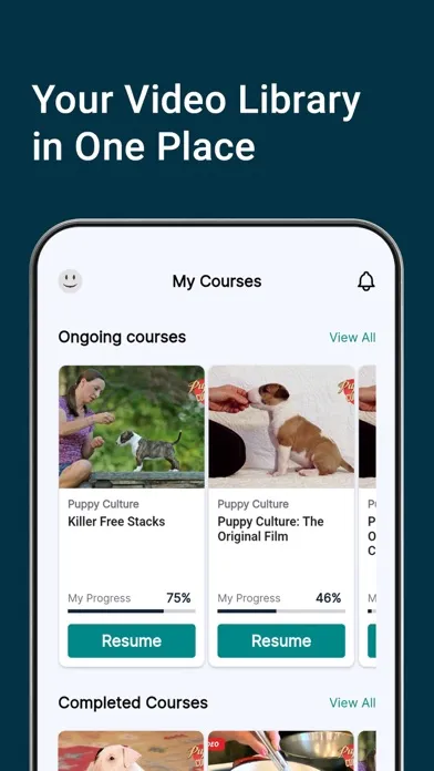 Скриншоты Madcap University