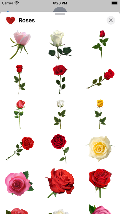 صور Roses to Love Stickers