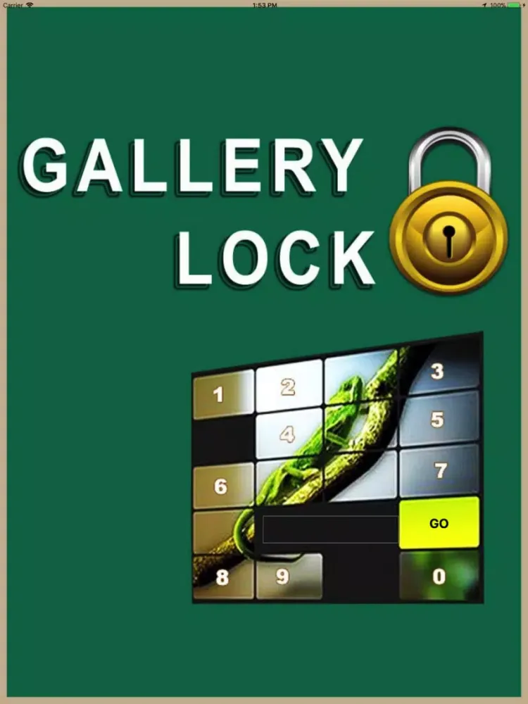 Zrzuty ekranu Locker - Hide Your Images iPad 