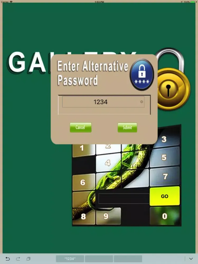 Zrzuty ekranu Locker - Hide Your Images iPad 