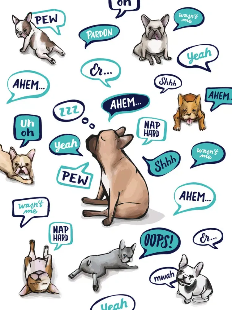 Dog Talk - Frenchie edition iPad 應用截圖