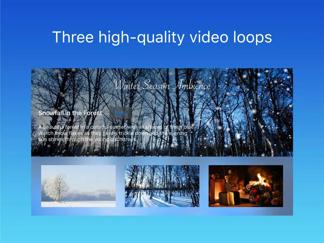 Ảnh chụp màn hình của Winter Season Ambience iPad 