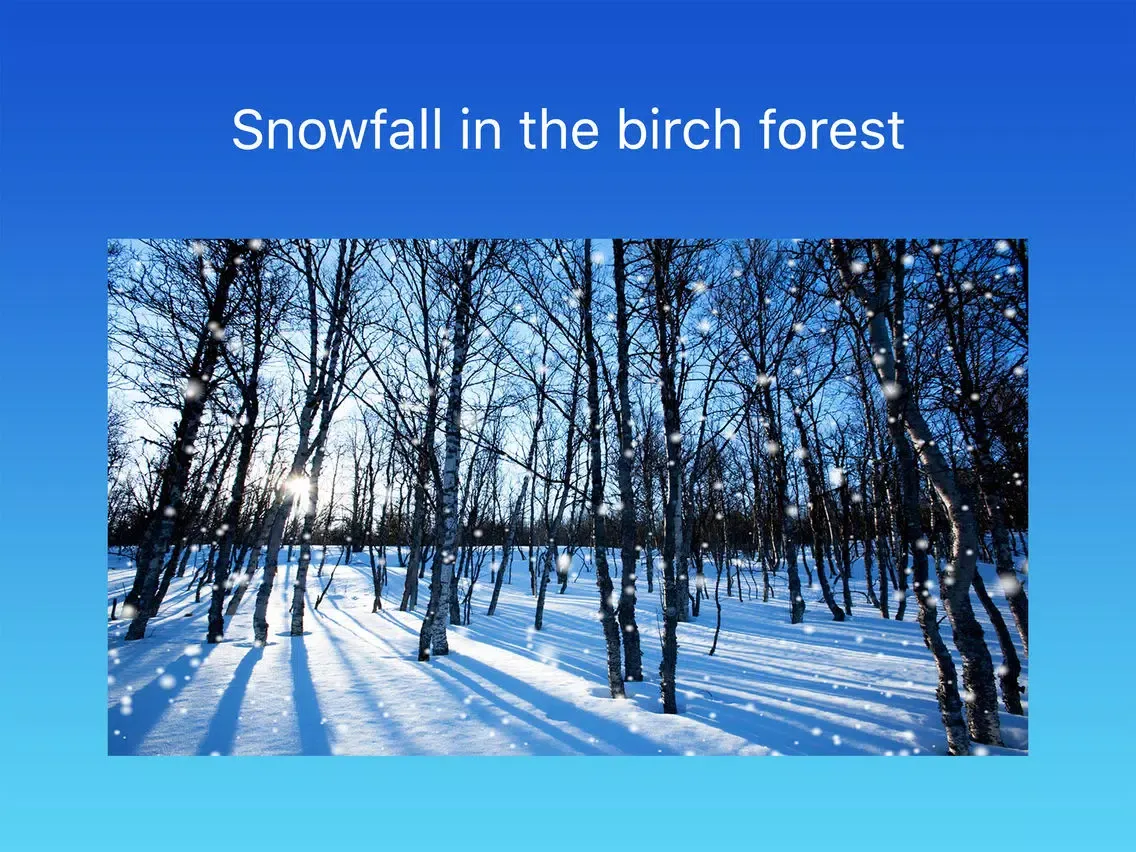 Ảnh chụp màn hình của Winter Season Ambience iPad 