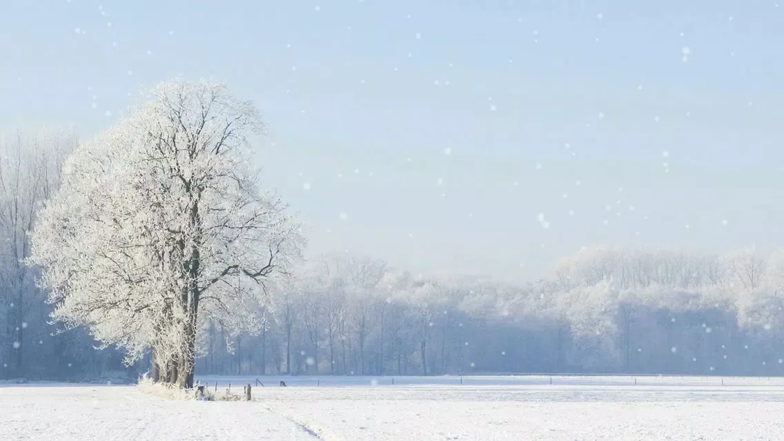 Ảnh chụp màn hình của Winter Season Ambience