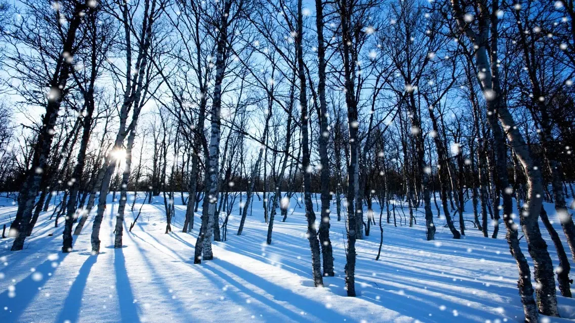 Ảnh chụp màn hình của Winter Season Ambience