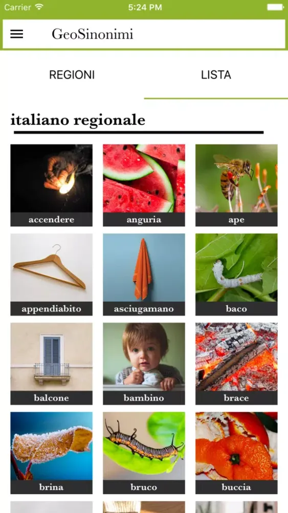 I Sinonimi e contrari Treccani স্ক্রিনশট
