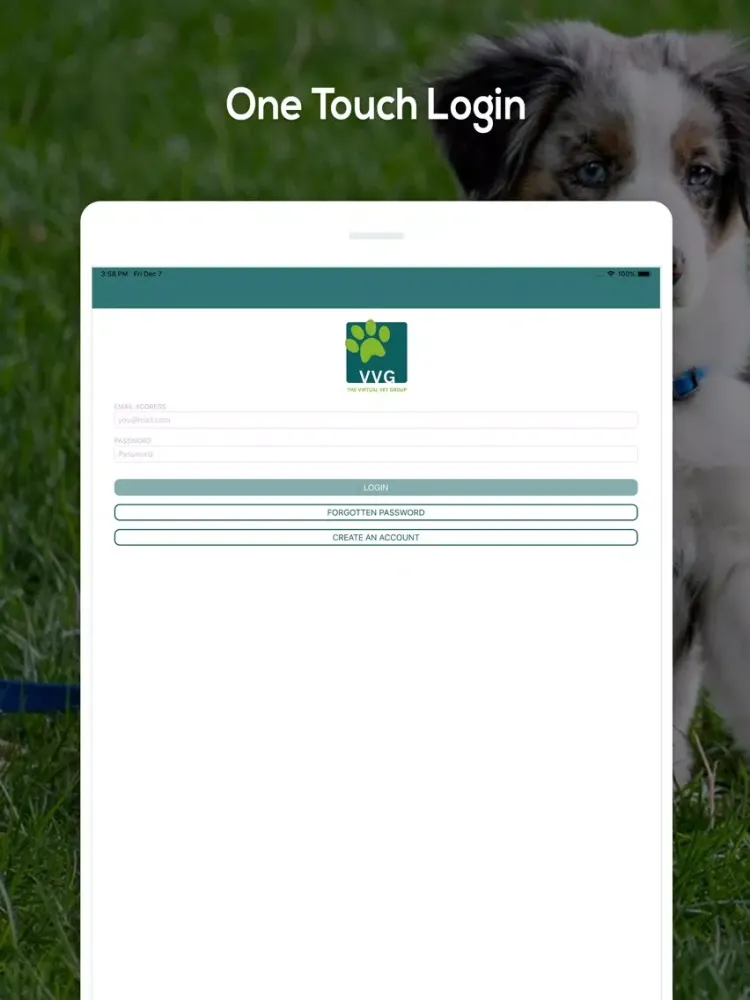 Tangkapan skrin The VVG (Virtual Vet Group) iPad 