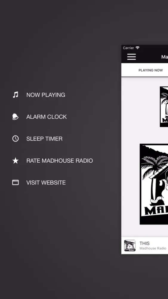 Madhouse Radio Ekran Görüntüleri
