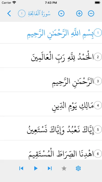 BayCountyIslamicSociety Screenshots