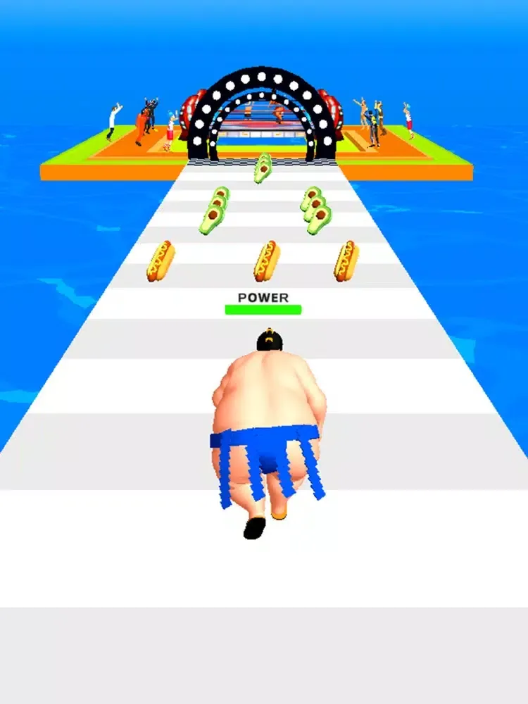 Ảnh chụp màn hình của Sumo Fight 3D iPad 