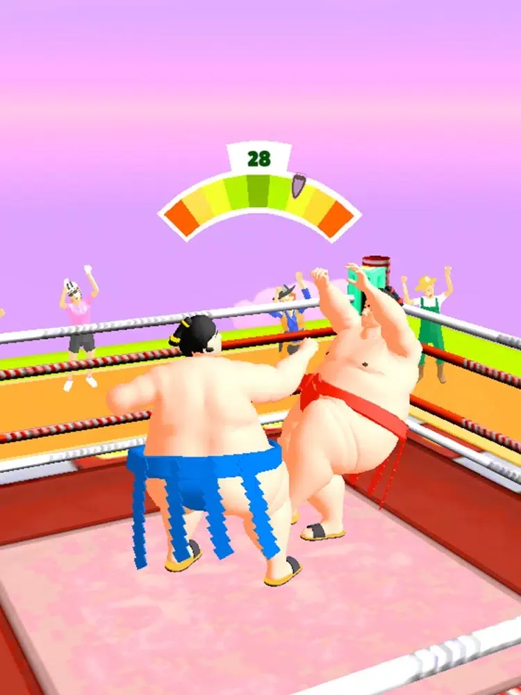 Ảnh chụp màn hình của Sumo Fight 3D iPad 