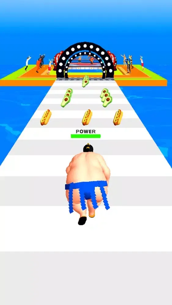 Ảnh chụp màn hình của Sumo Fight 3D