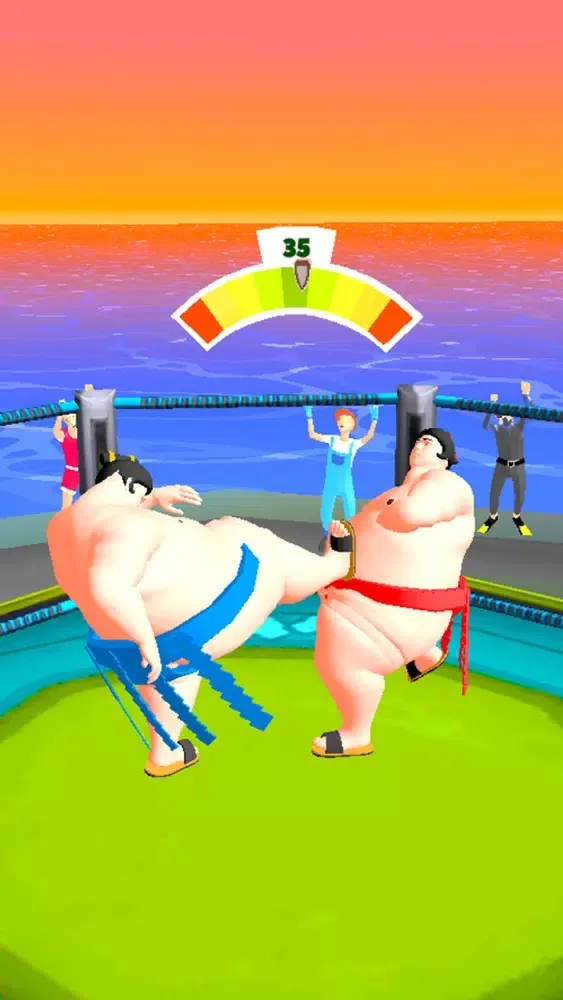Ảnh chụp màn hình của Sumo Fight 3D
