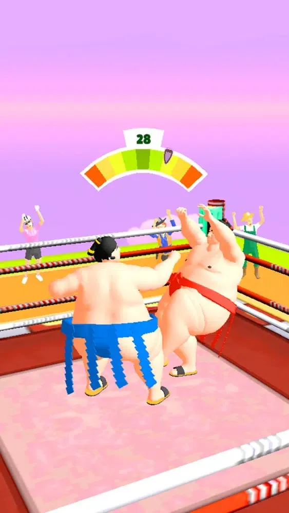 Ảnh chụp màn hình của Sumo Fight 3D