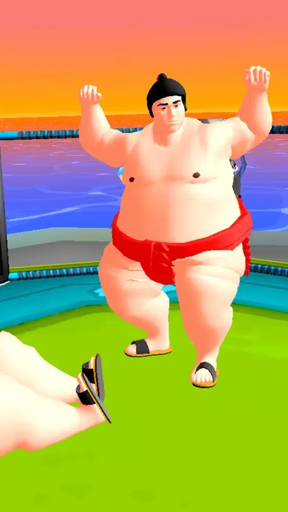 Ảnh chụp màn hình của Sumo Fight 3D