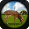 Best Shooter Deer:Hunting For