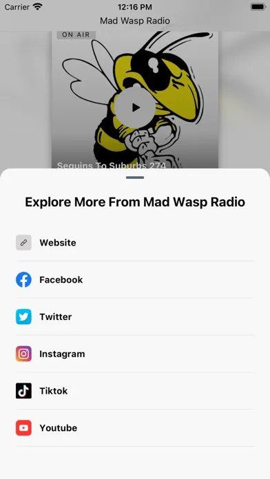 صور Mad Wasp Radio