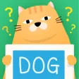 Pon! Tell me! what's this? Multi-activity game for you, your family and friends!