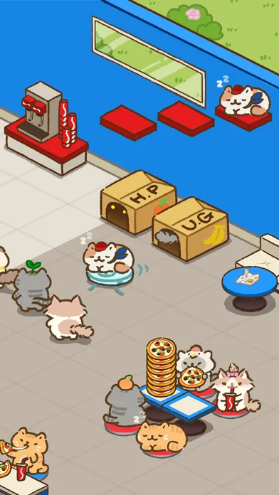 صور Pizza Cat: 30min fun guarantee