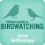 Ultimate Guide to Birdwatching