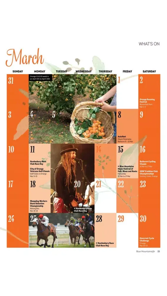 Blue Mountains Life Magazine سکرین شاٹس
