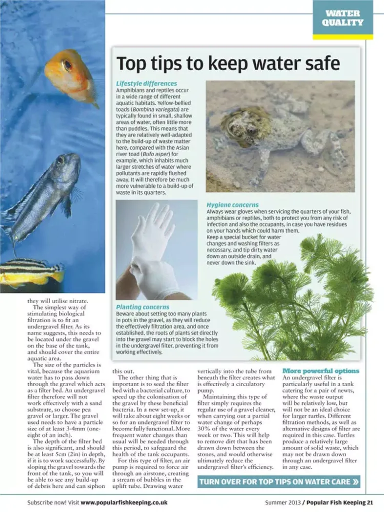 صور Popular Fish Keeping – The Home Aquarium Magazine iPad 